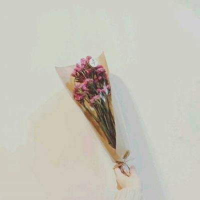 一品官老爷手游兰陵王妃下载